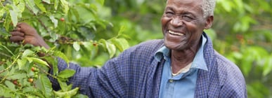 Una breve historia del café